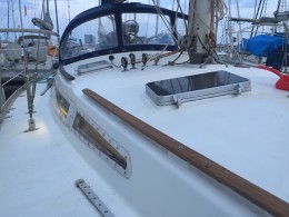 X-Puma 37